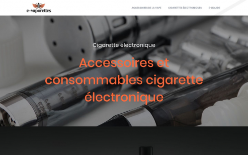 https://www.e-vaporettes.fr